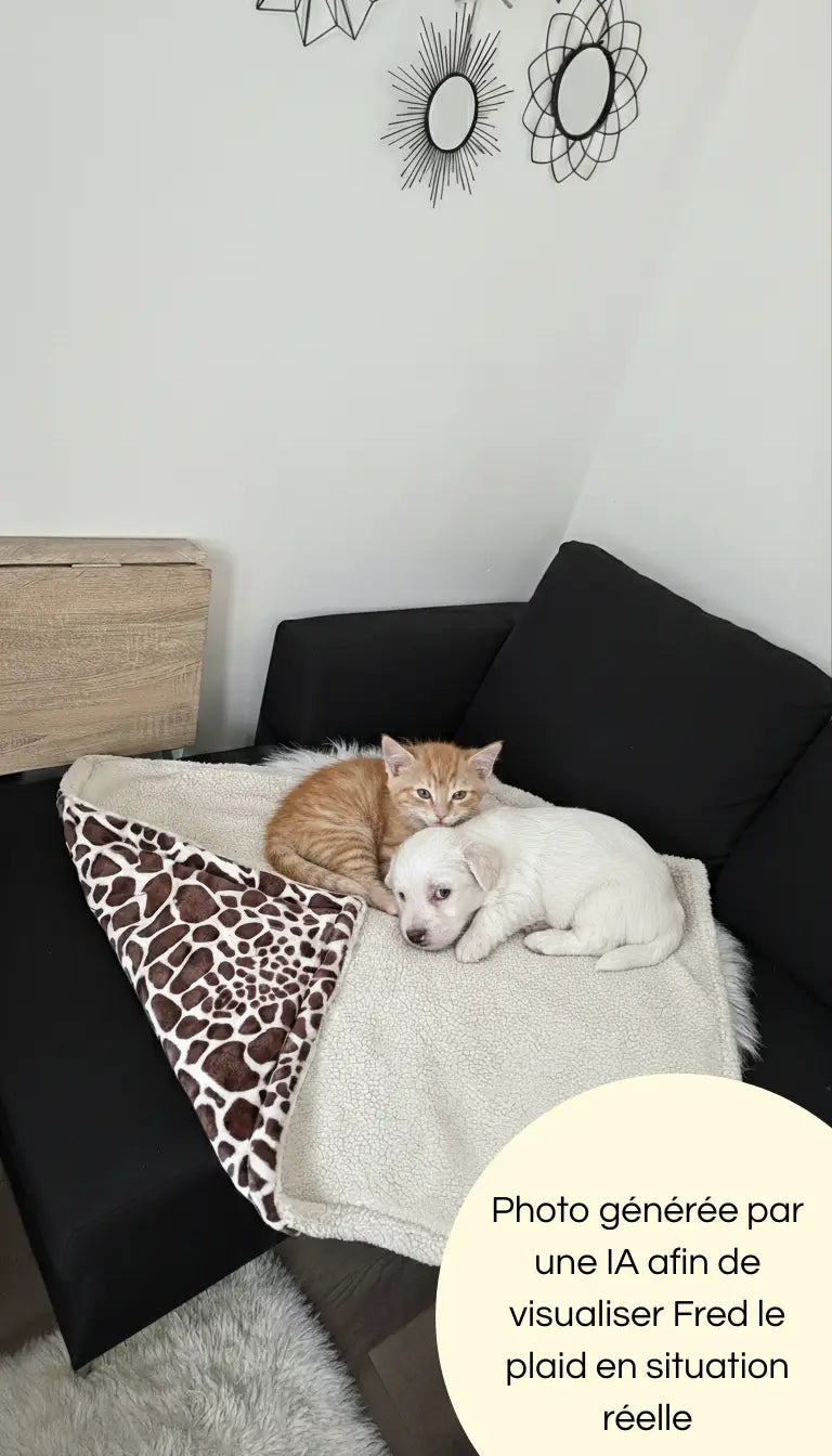 Photo générée par une intelligence artificielle avec un chaton et un chiot sur notre plaid