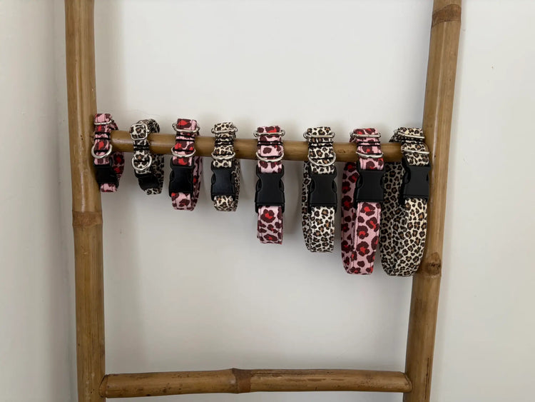 Colliers pour chiens artisanaux en différentes tailles en motifs léopard beige