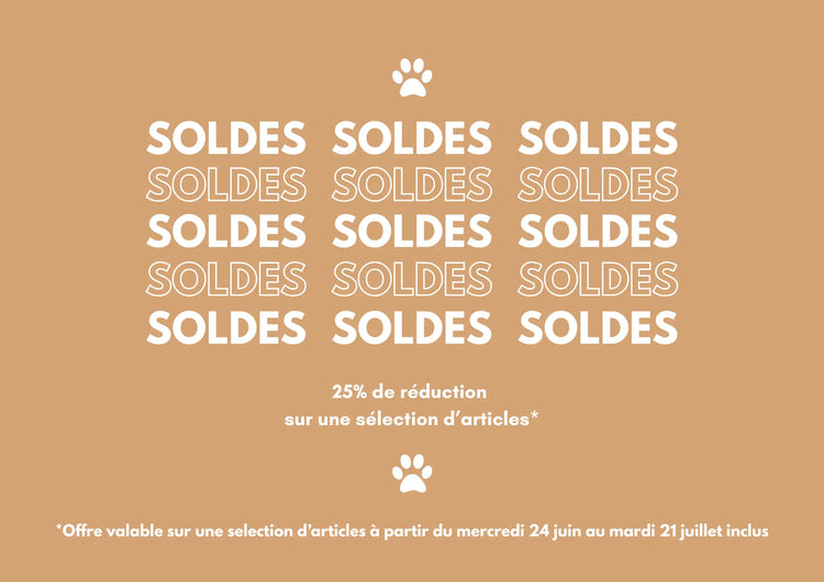 Visuel présentant les soldes d'été 2026