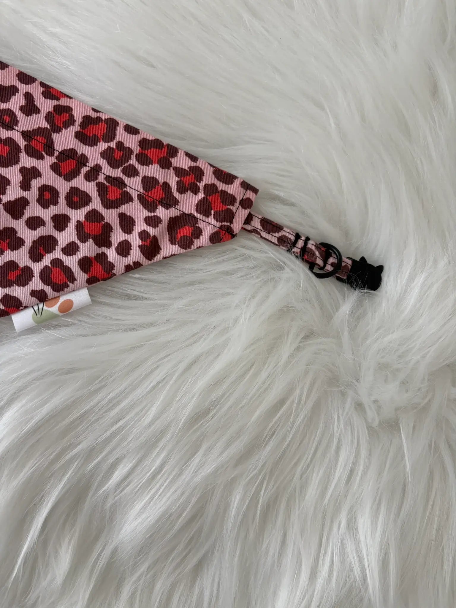 Ensemble de collier pour chat et de bandana léopard bouclerie noire