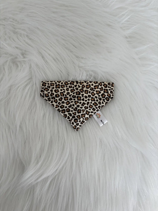 Cana le bandana pour chat à insérer par le collier 😺