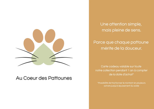 Visuel carte cadeau