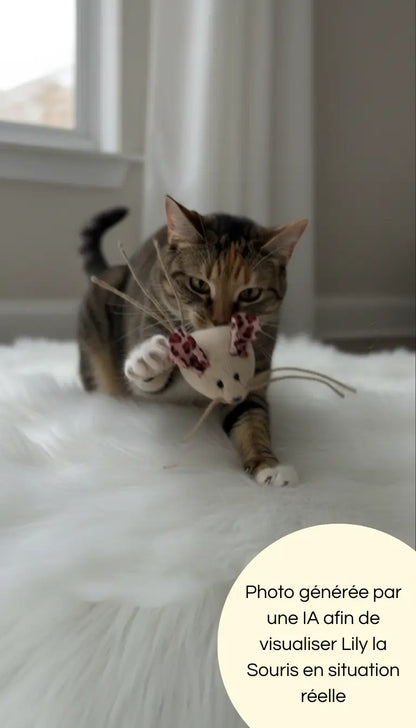 Photo générée par une intelligence artificielle montrant un chat jouer seul avec Lily la Souris