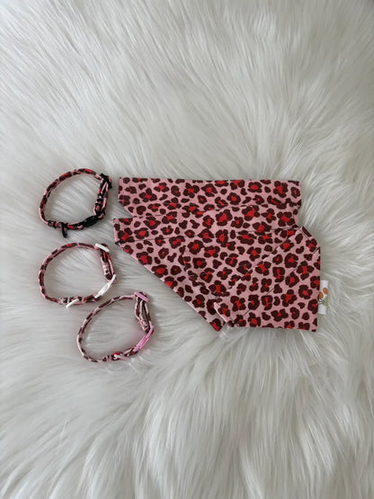 Collection de colliers et de bandanas pour chats léopard rouge