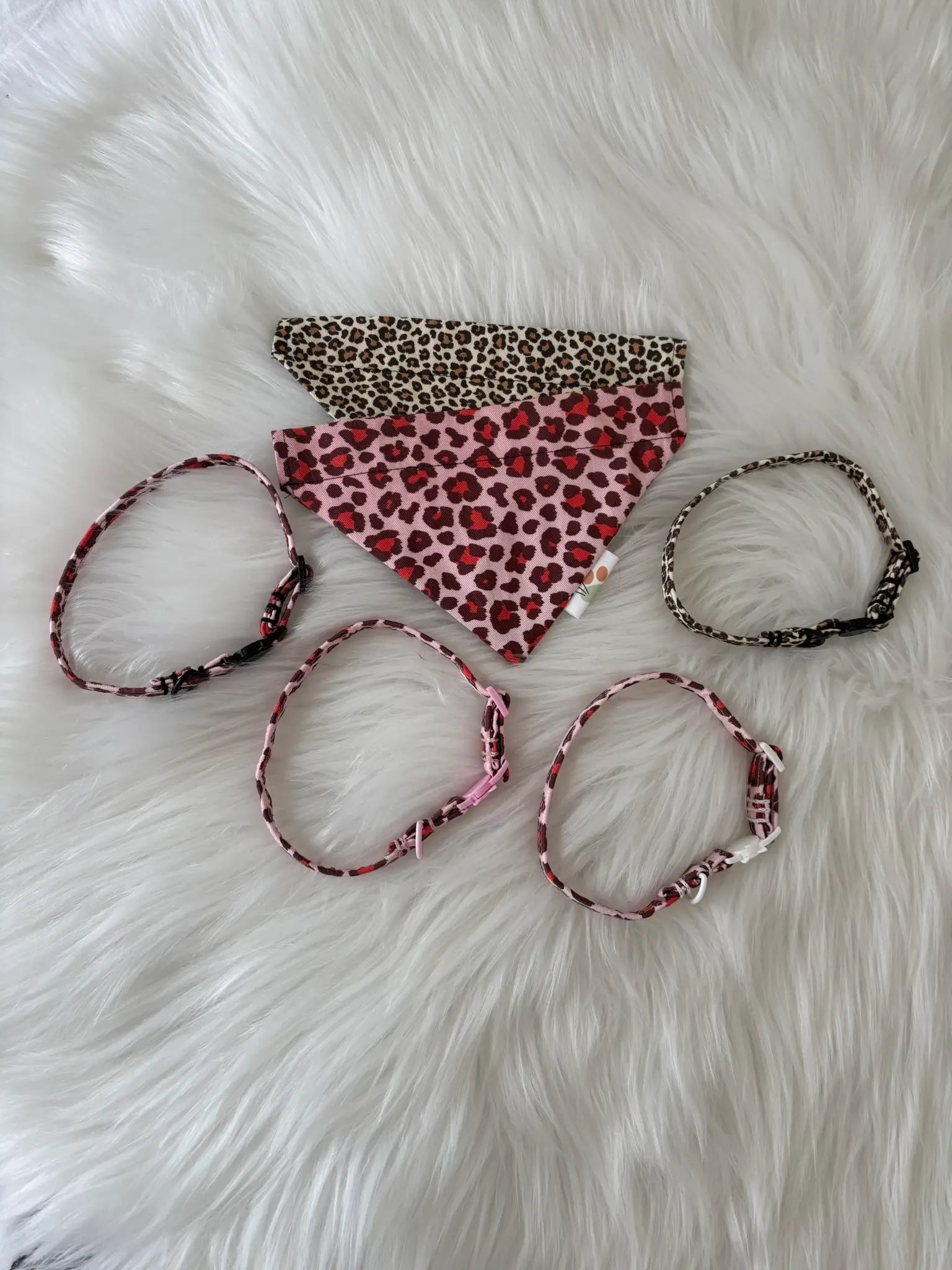 Collection de colliers et de bandanas pour chats léopards