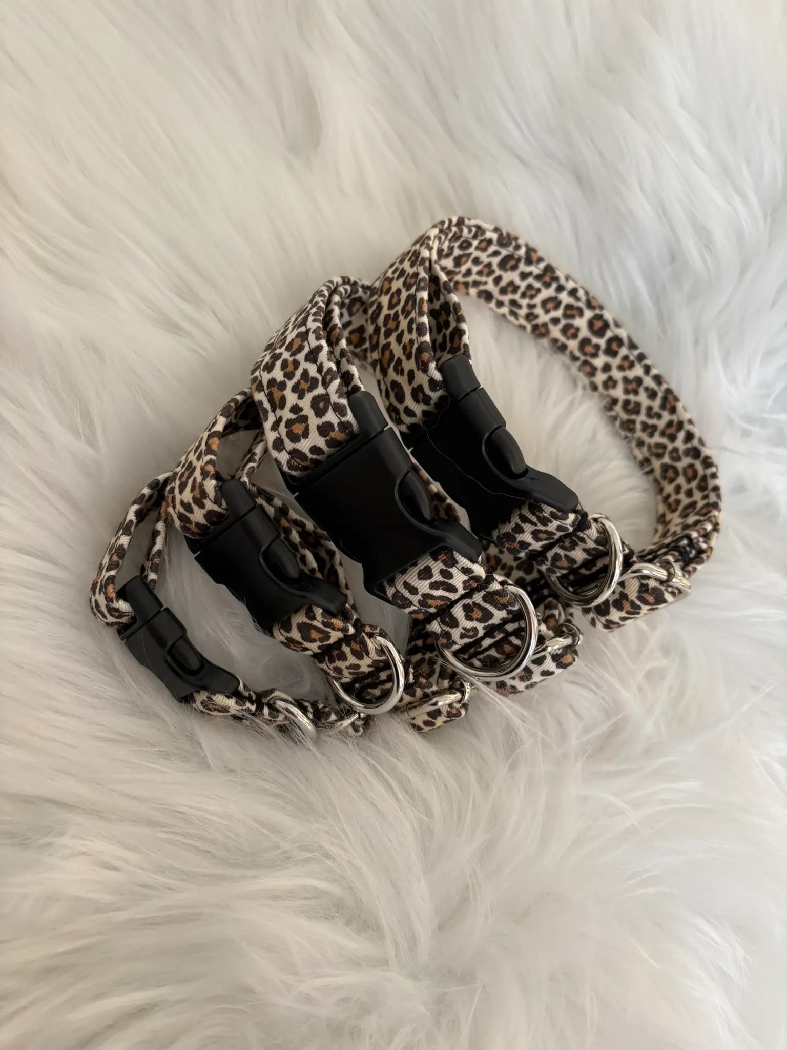 Collection de colliers pour chiens fait mains en différentes tailles, motifs léopard beige