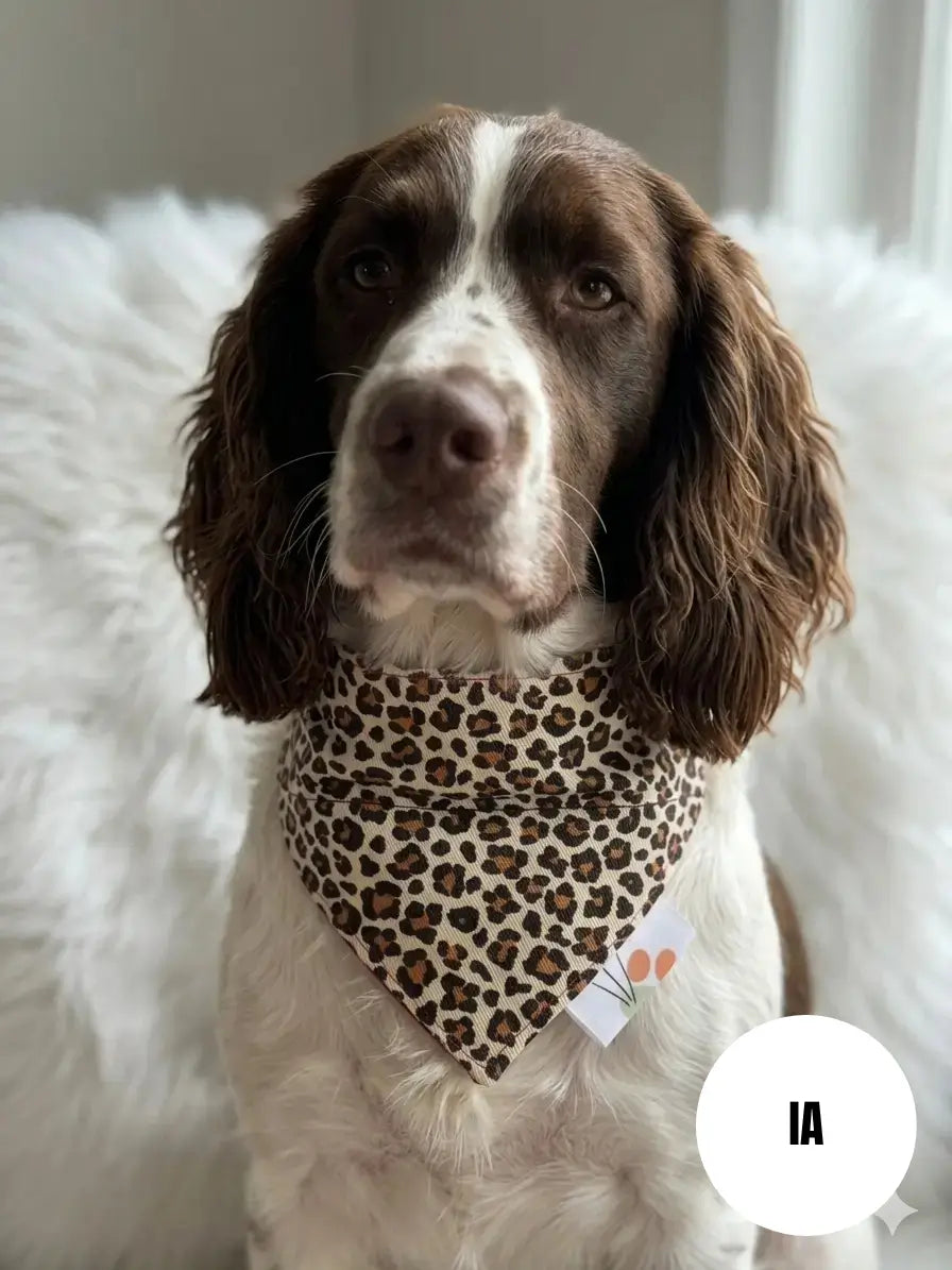 Photo d'un chien générée par une IA de notre bandana à insérer par le collier fait main aux motifs beiges léopard