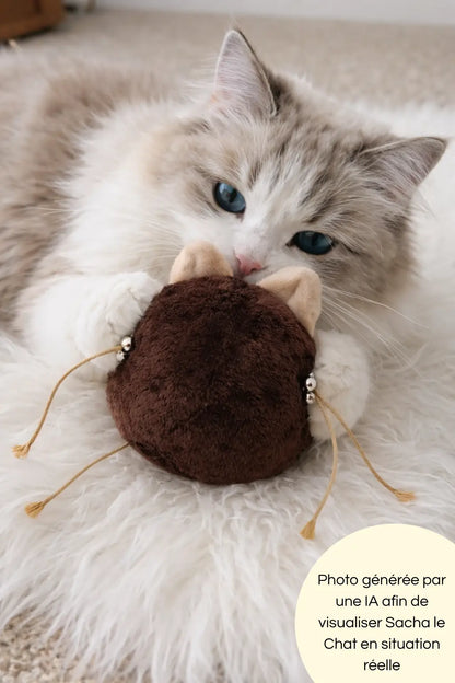 Photo générée par une intelligence artificielle d'un chat à poils longs jouant seul avec Sacha le chat
