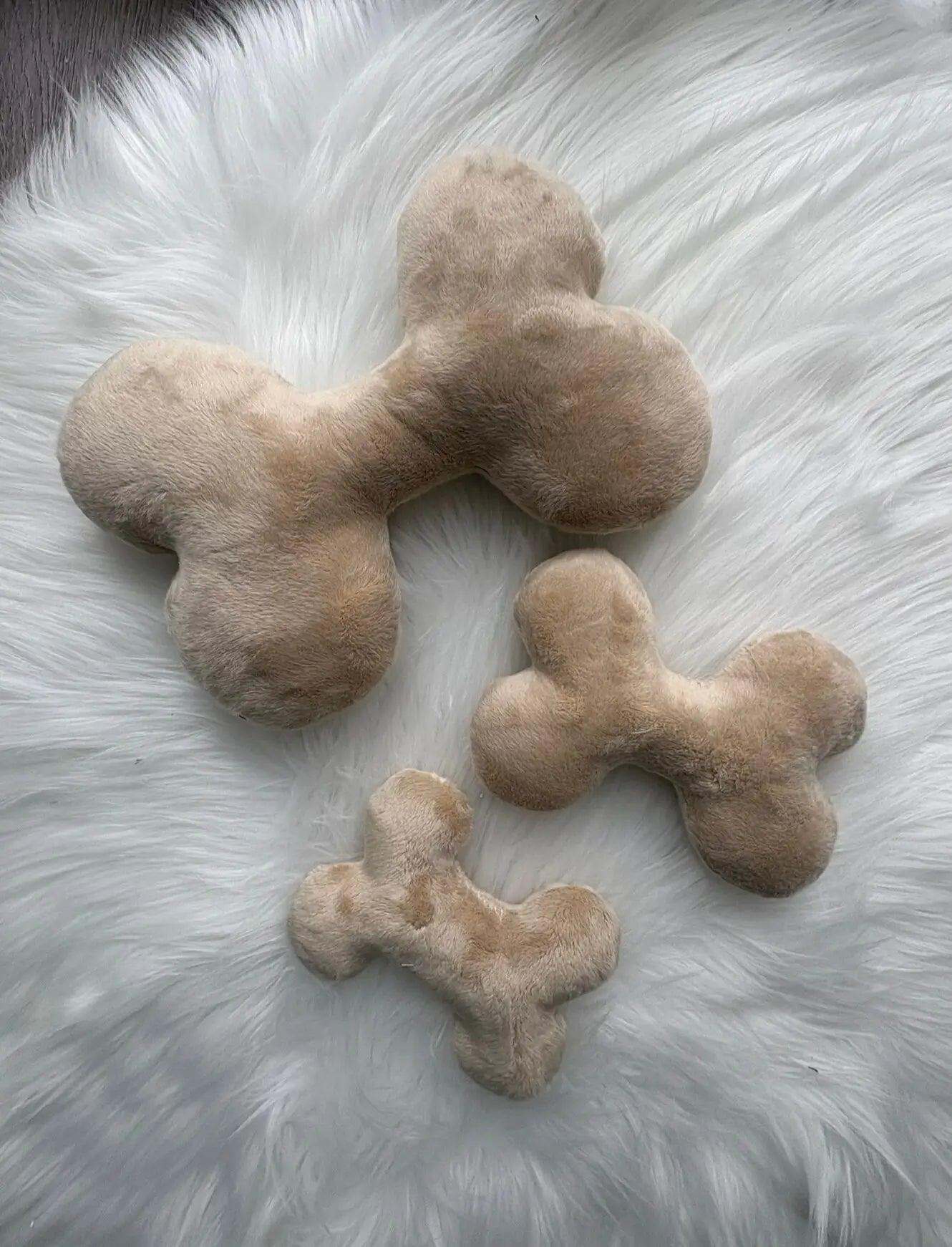 Jouets pour chien en forme d'os, 3 tailles différentes, avec ou sans pouet-pouet, couleur beige, en polaire certifiée OekoTex Standard 100