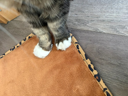 Les jolies pattounes de Nala sur un essuie-pattounes