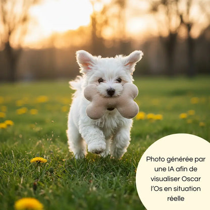 Photo générée par une intelligence artificielle montrant un chiot jouant seul avec Oscar l'Os