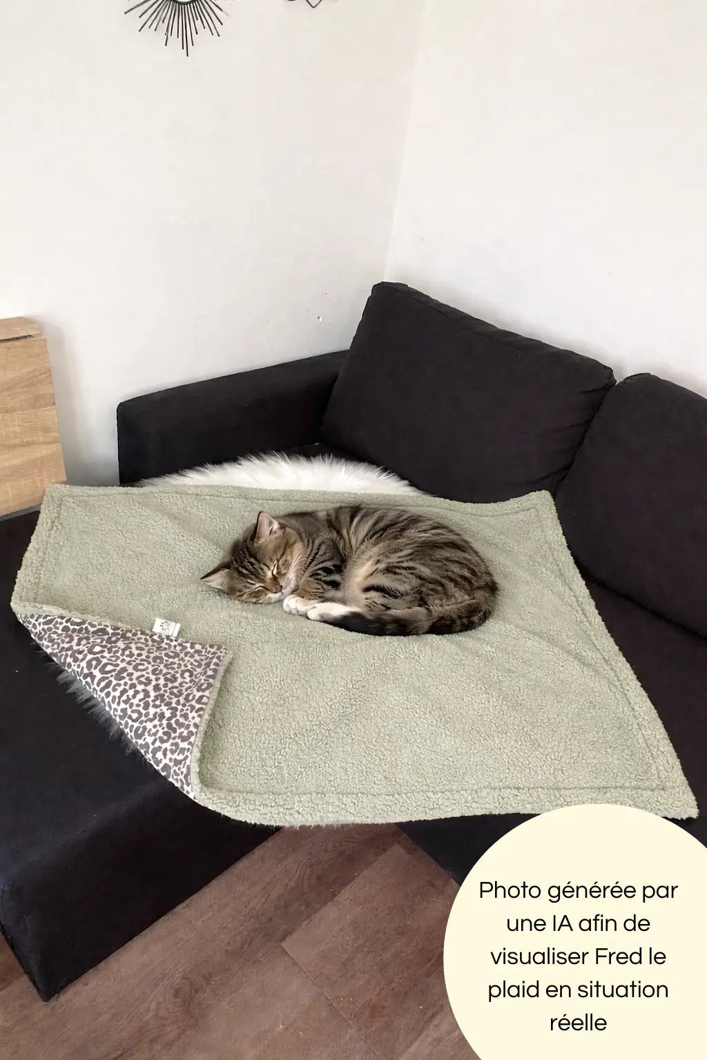 Photo générée par une intelligence artificielle avec un chaton dormant sur notre plaid 