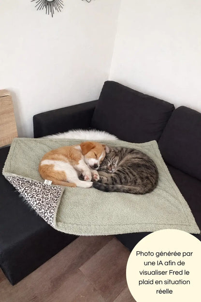 Photo générée par une intelligence artificielle avec un chat et un chien dormant sur notre plaid 