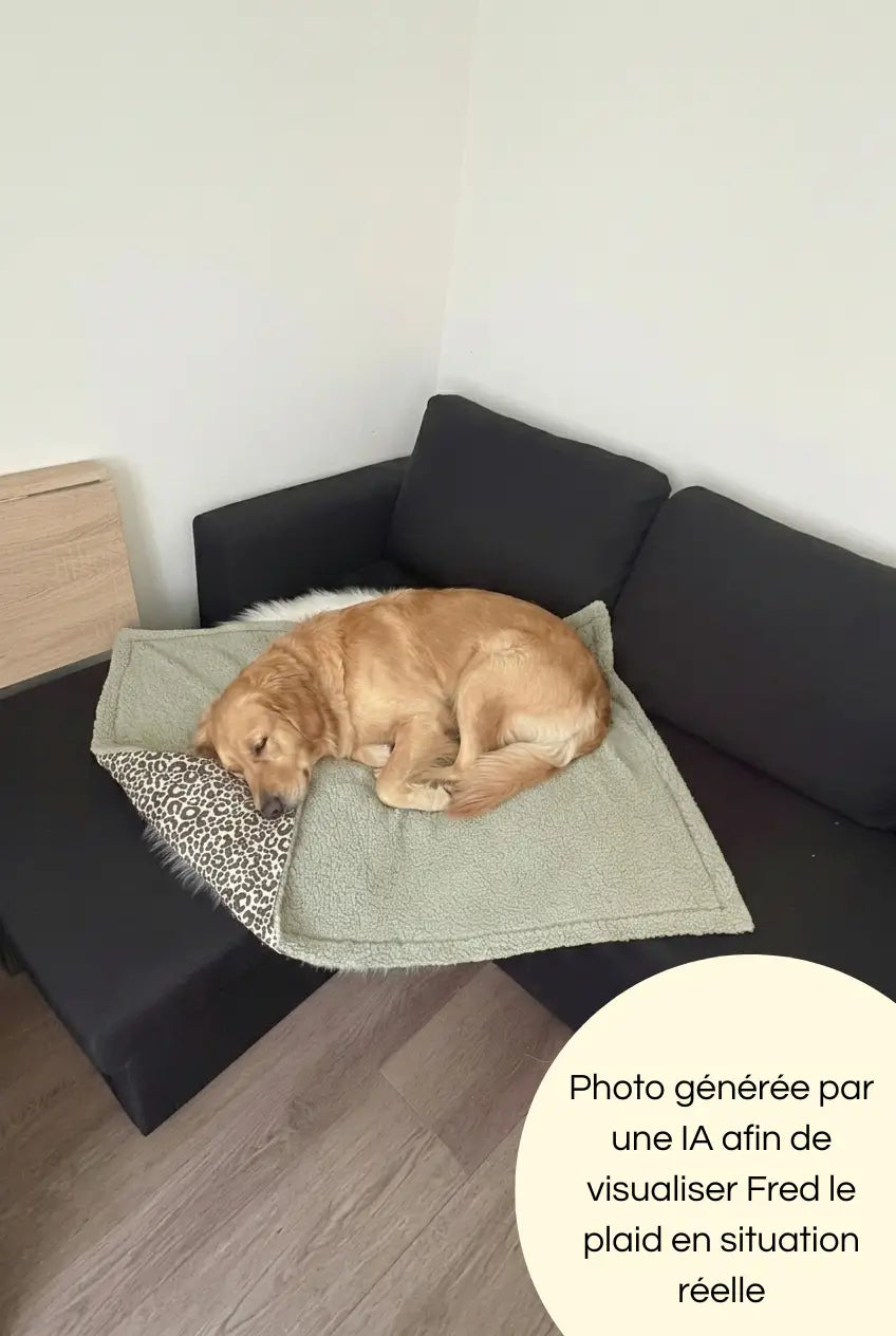Photo générée par une intelligence artificielle avec un chien dormant sur notre plaid 