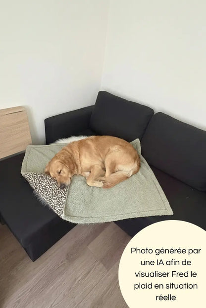 Photo générée par une intelligence artificielle avec un chien dormant sur notre plaid 