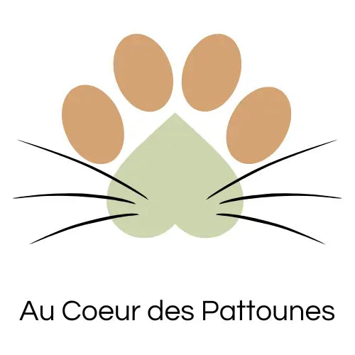 Au Cœur des Pattounes 